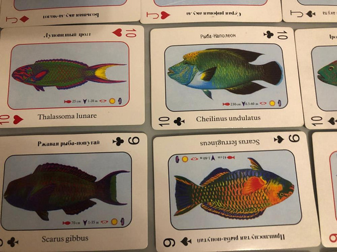 Карты игральные сувенирные  - изображение 4