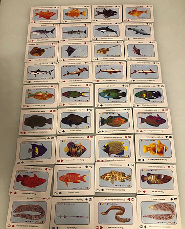 Карты игральные сувенирные  - изображение 3