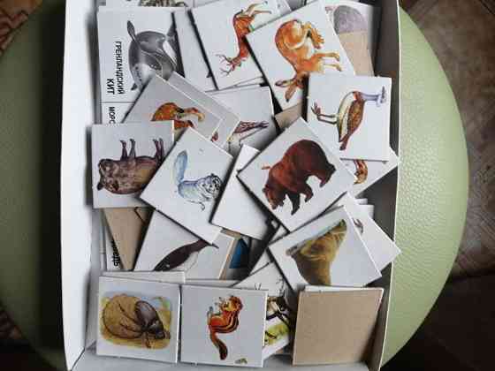 Настольная игра кто где живёт? 