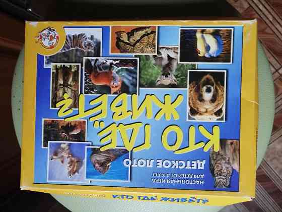 Настольная игра кто где живёт? 
