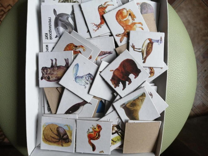 Настольная игра кто где живёт?  - изображение 2