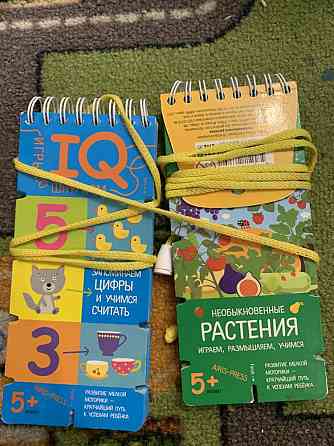 IQ игры. Шнурки. Изучаем цифры, растения. 