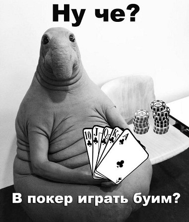 Набор для покера  - изображение 1