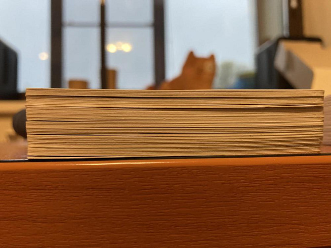 Корова 006  - изображение 3