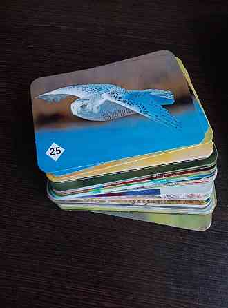 Настольная игра мемо 