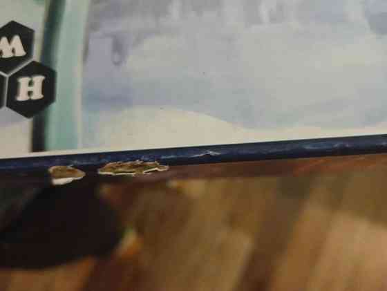 Империал 2030 