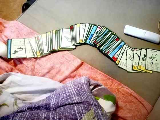 Эволюция настольная игра комплект 