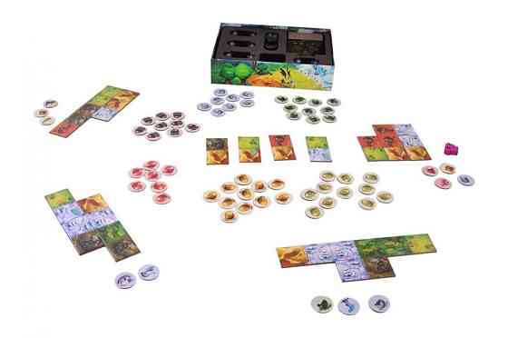 Драконье королевство 