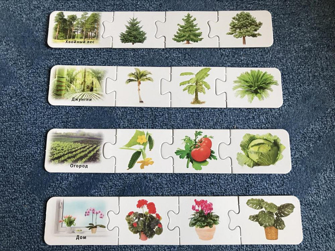 Что где растёт игра  - изображение 2