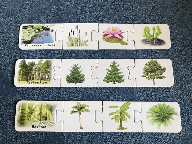 Что где растёт игра  - изображение 3