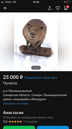 Полу покер  - изображение 1