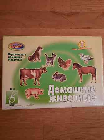 Домашние животные 