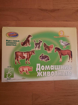 Домашние животные  - изображение 1