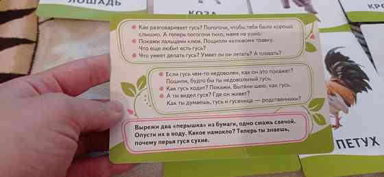 Развивающие карточки 