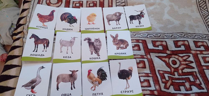 Развивающие карточки  - изображение 1