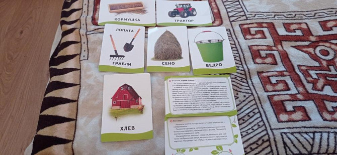 Развивающие карточки  - изображение 2