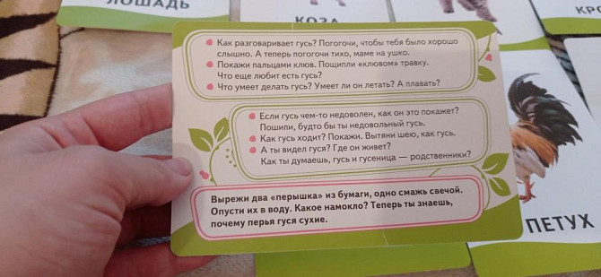 Развивающие карточки  - изображение 3