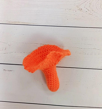 Грибы вязанве  - изображение 3