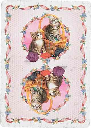 Карты Madison Kitten Playing Cards 