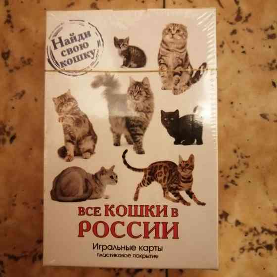 Кошки карты 