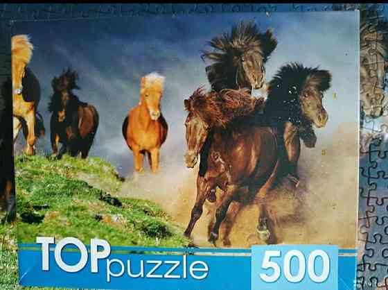 Пазл 500 Табун лошадей 