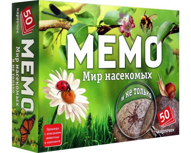 Мемо "Мир насекомых и не только"  - изображение 1