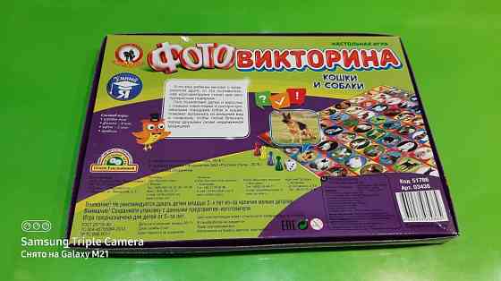 Фотовикторина Кошки и собаки 