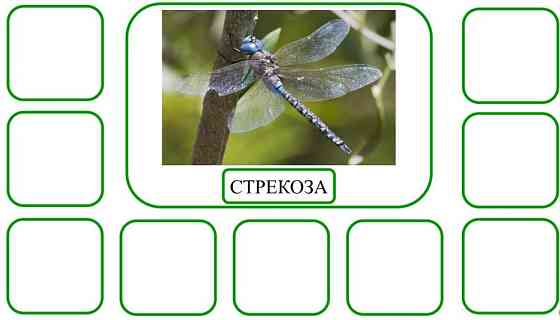 Пособие для логопедов 