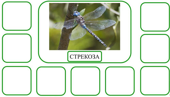 Пособие для логопедов  - изображение 2